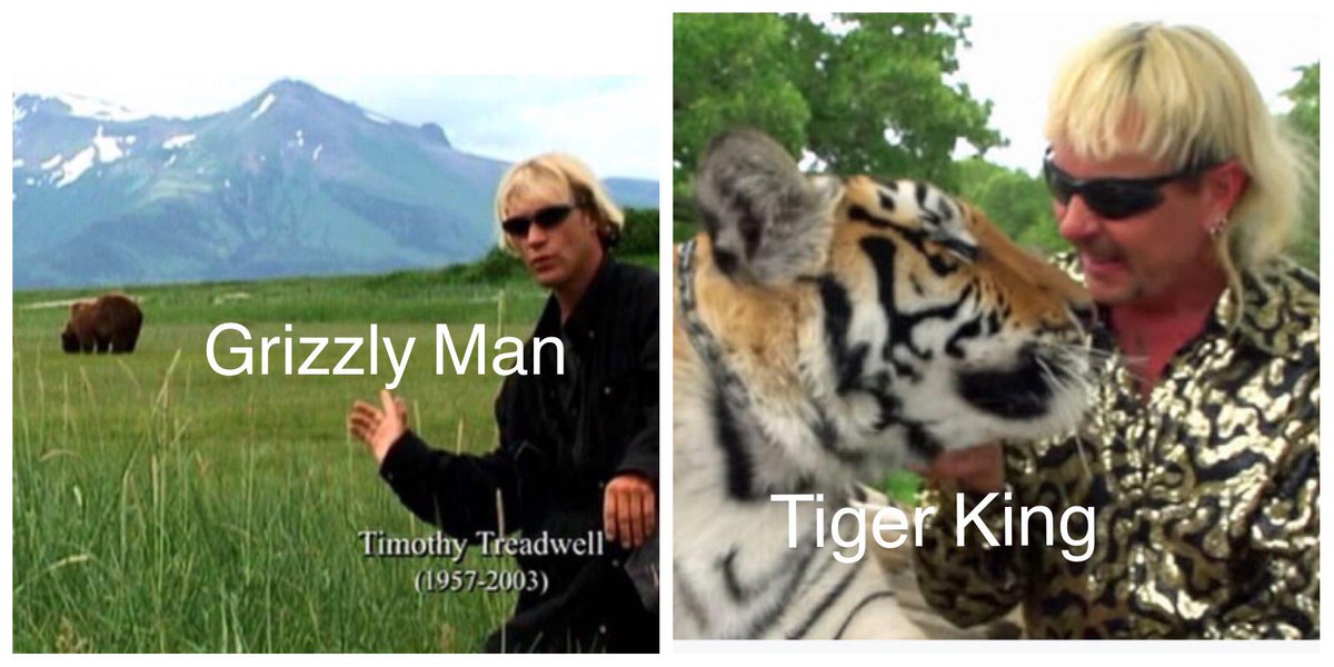 robchejac's tweet photo. Long before there was Tiger King there was Grizzly Man. 
Similarities are uncanny. 
Grizzly / Tiger
Documentary / Docuseries 
Questionable hair choices 
Delusional
Bad endings for both 

I mean LOOK at them - they could be brothers!🐯 🐻 

#tigerking https://t.co/K9wQ0VEnEk