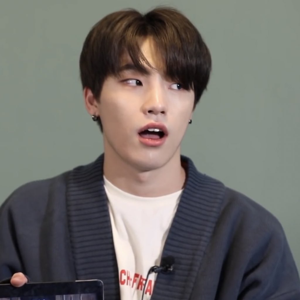   #SEVENTEEN   #세븐틴  @pledis_17