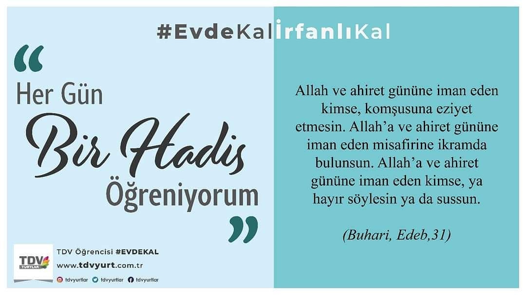 TdvTosya's tweet photo. https://t.co/jVyQBE3EhY