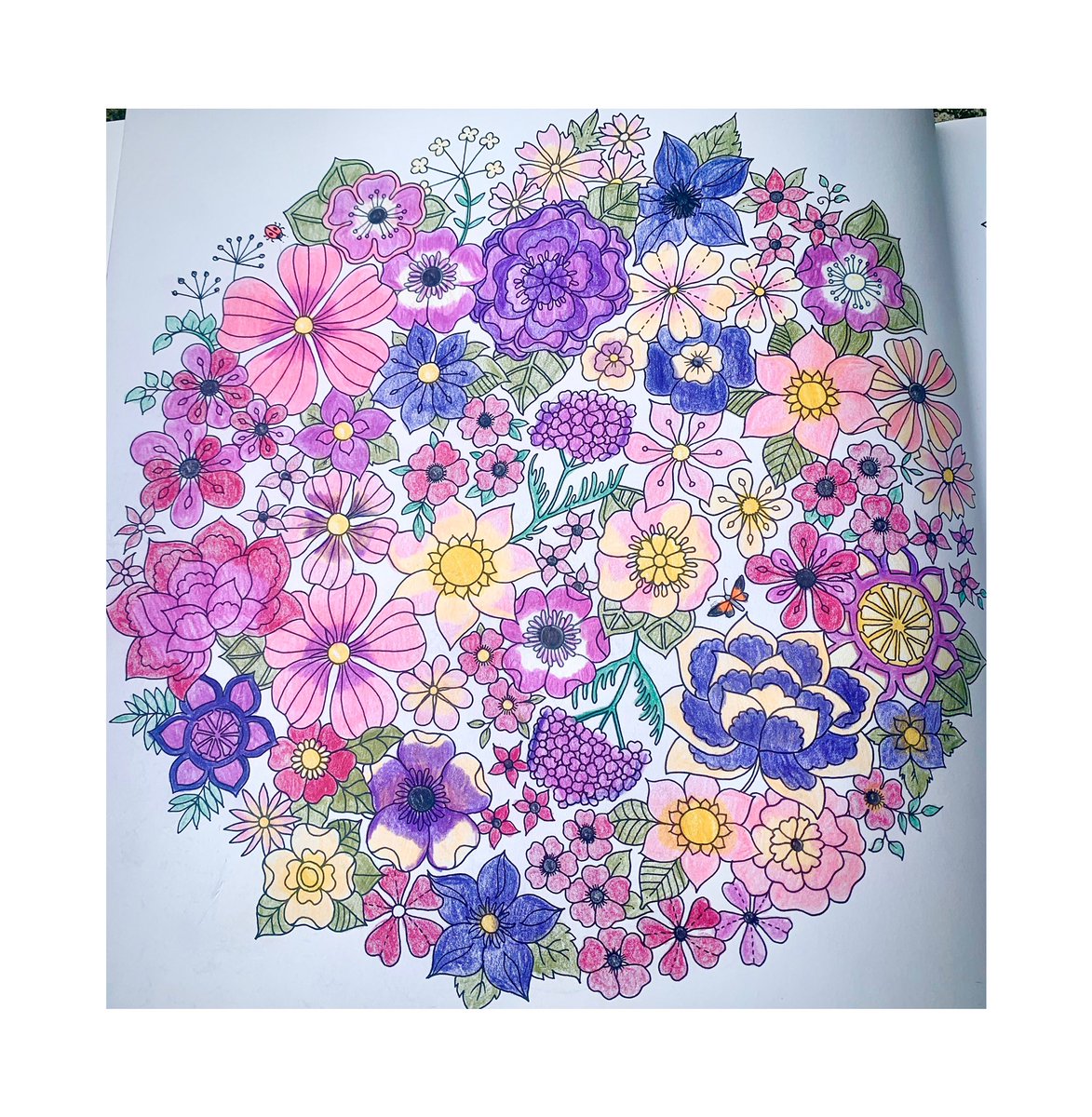mews_views's tweet photo. Mindfulness, some colouring is really helping my mental health during these rough timesπΈπΊ #johannabasford #worldofflowers #flowers #colouringbookforadults #colouringforadults #colouringbook #creative #creativecolouring #art #mindfulness #mentalhealth https://t.co/IRdSiz6MZs
