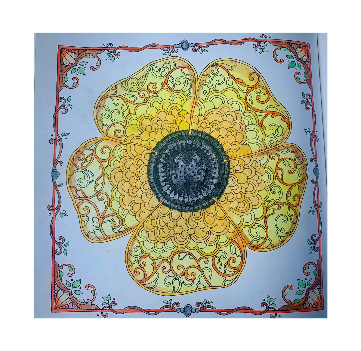 mews_views's tweet photo. Mindfulness, some colouring is really helping my mental health during these rough timesπΈπΊ #johannabasford #worldofflowers #flowers #colouringbookforadults #colouringforadults #colouringbook #creative #creativecolouring #art #mindfulness #mentalhealth https://t.co/IRdSiz6MZs
