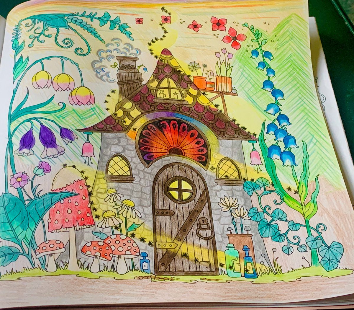 mews_views's tweet photo. Mindfulness, some colouring is really helping my mental health during these rough timesπΈπΊ #johannabasford #worldofflowers #flowers #colouringbookforadults #colouringforadults #colouringbook #creative #creativecolouring #art #mindfulness #mentalhealth https://t.co/R2y2vcZ751