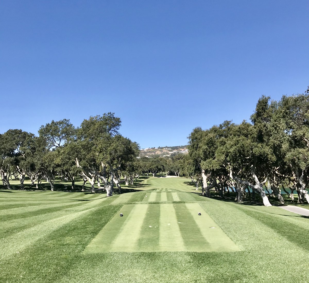 The Golf Guide tweet media