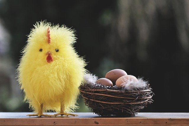 bodyfitSol's tweet photo. Happy Easter everyone....try and appreciate what matters the most. Your family, loved ones, the ability to slow down, to have precious family time that usually our work life doesn't allow. To get out in nature, exercise, have time to cook, to fuel yourself with positive energy. https://t.co/UDvwQ87VDz