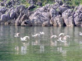 CroaziaInfo's tweet image. Croazia Foto – Medveja Rovigno Parenzo buff.ly/373FgPt
Sono giorni giusti per sfogliare le foto delle vacanze in Croazia (7/9) 
(inviateci anche le vostre nel gruppo nostro FB - buff.ly/2UIJE1d