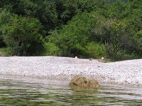 CroaziaInfo's tweet image. Croazia Foto – Medveja Rovigno Parenzo buff.ly/373FgPt
Sono giorni giusti per sfogliare le foto delle vacanze in Croazia (7/9) 
(inviateci anche le vostre nel gruppo nostro FB - buff.ly/2UIJE1d