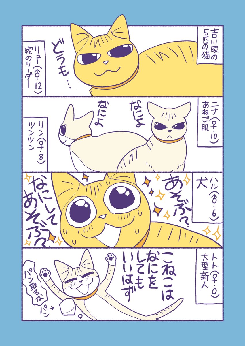 家の猫紹介まんが 