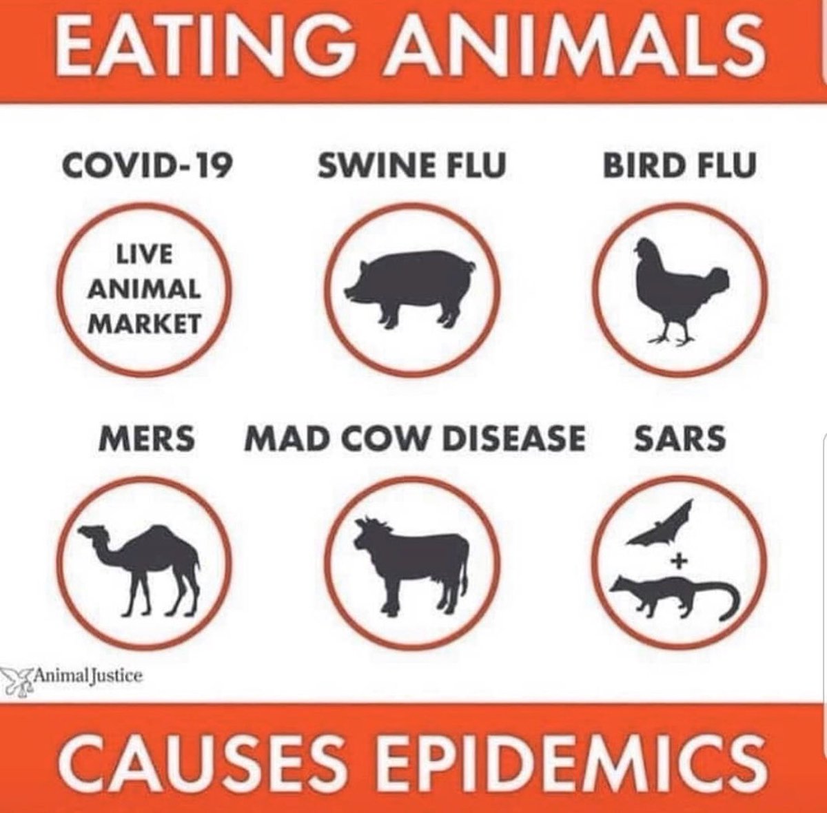 imLucyWatson's tweet photo. Maybe if we collectively try to change our eating habits we can avoid the next global pandemic. If you need any advice or would like to know how, please just ask. ❤️ https://t.co/Svem2yyHpc