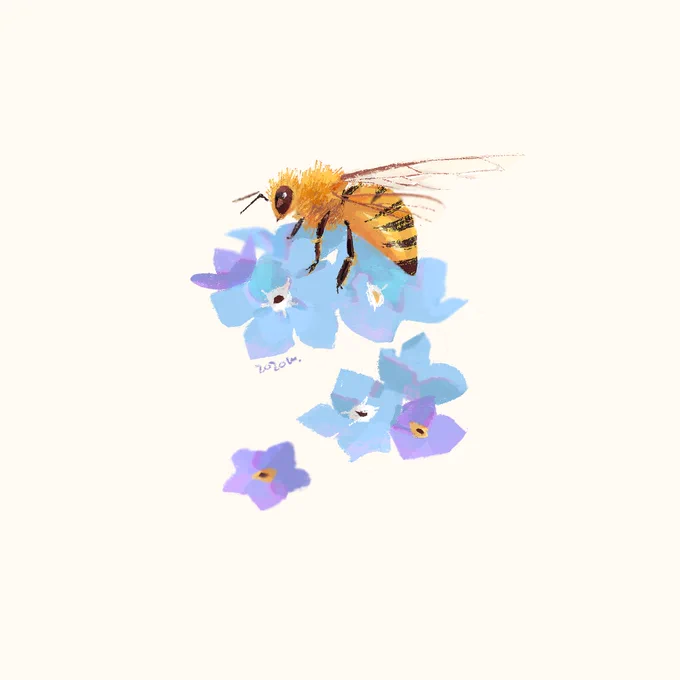 紫陽花と蜂 