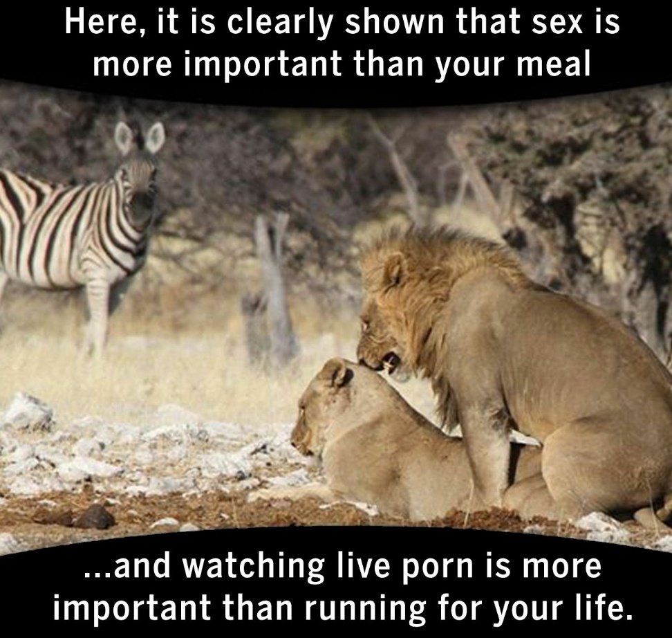 Well...

It's true 🤷😂