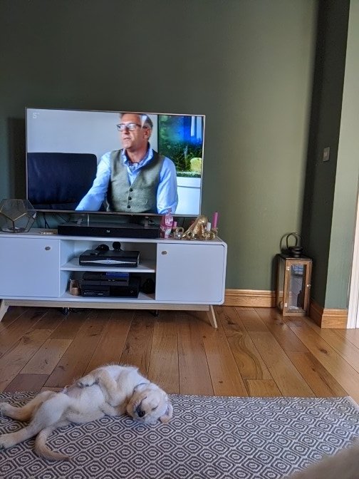Tilly_Tales's tweet photo. @GraemeDogfather it looks like Louis isn't too interested in learning how to be a good pup 💤 https://t.co/en1FLLn9YV