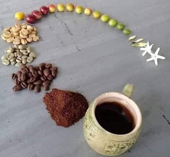 Tüm dostlara GÜNAYDIN. Kahvenin çiçekten fincana macerası.