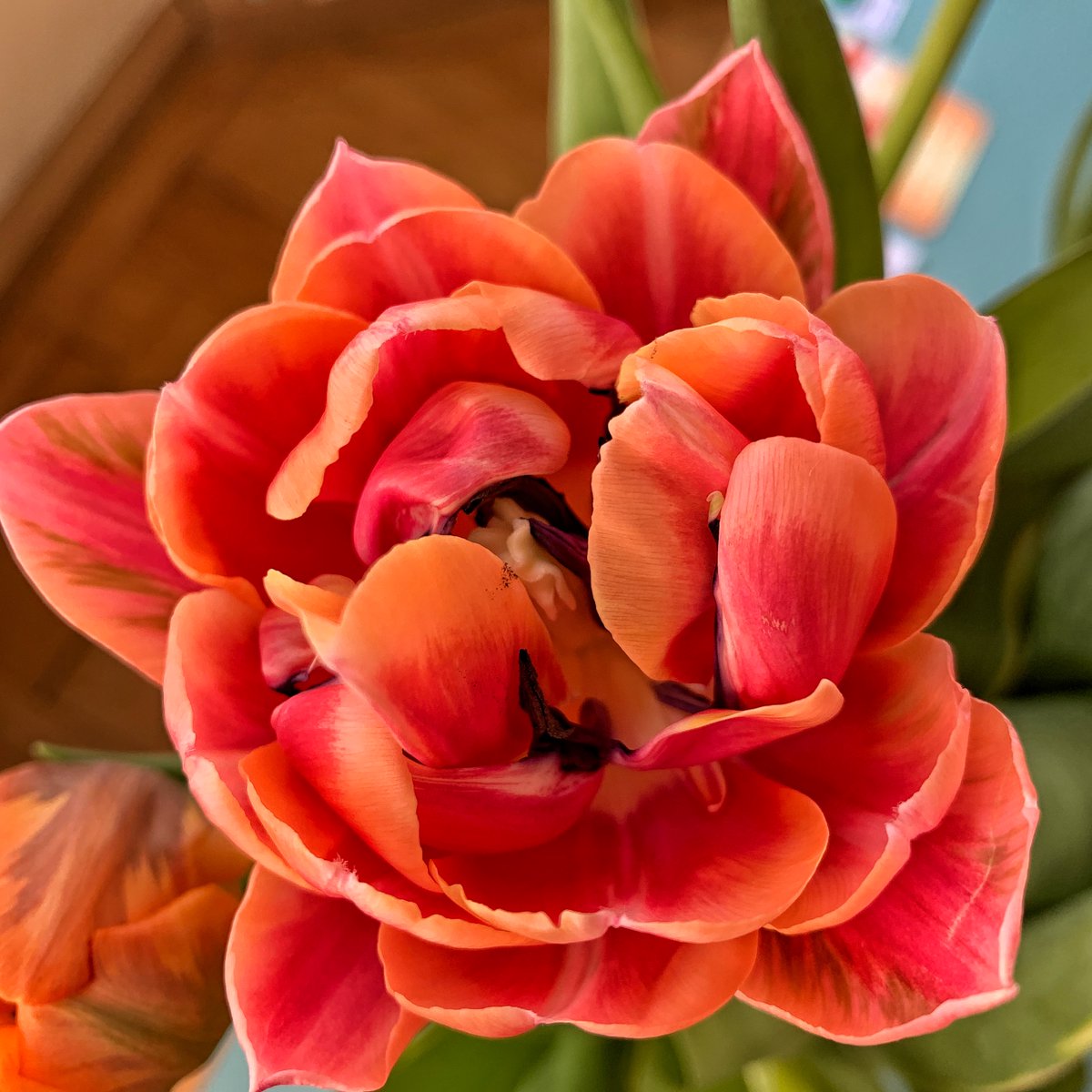 krista-posch.de/2020/04/10/fro…  BLOG und #meditation. Ostern ist Auferstehung in jeder Deiner Zellen! Frohe Ostern und bleibt gesund* #C19 #leben #Frühling