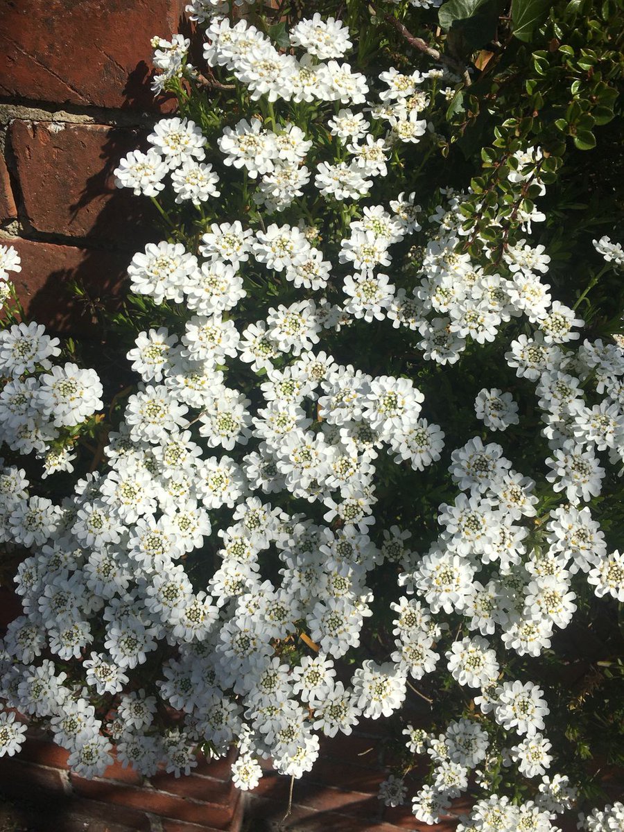 Calm Therapy tweet media