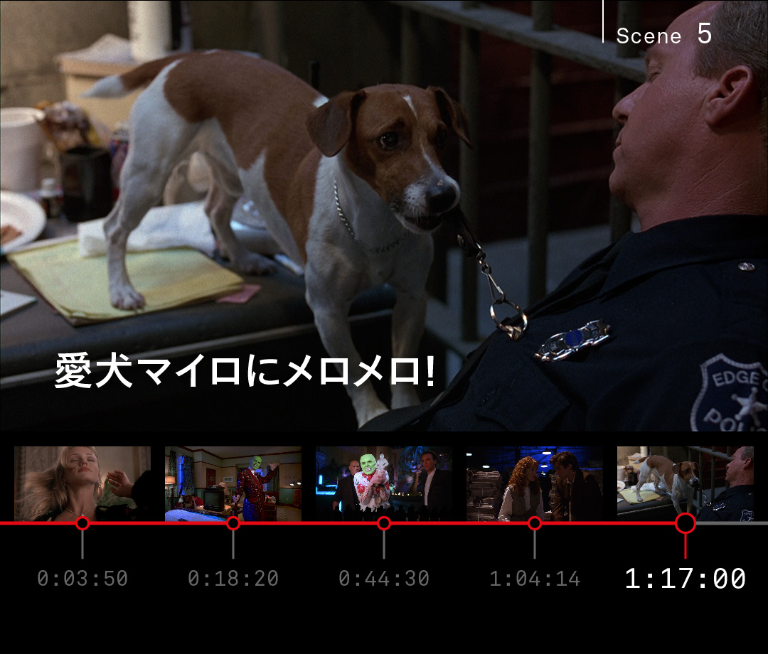 Netflix Japan Auf Twitter このシーンが好きすぎる マスク 愛犬マイロにメロメロ 本作の1番人気はこの愛くるしいジャック ラッセル テリアなのでは 賢さとおバカさが同居するマイロだけど とにかく最高にかわいい 収監されたご主人を救うべく 看守の胸 Netflix Japan Auf Twitter このシーンが好きすぎる マスク 愛犬マイロにメロメロ 本作の1番人気はこの愛くるしいジャック ラッセル テリアなのでは 賢さとおバカさが同居するマイロだけど とにかく最高にかわいい 収監されたご主人を救うべく 看守の胸