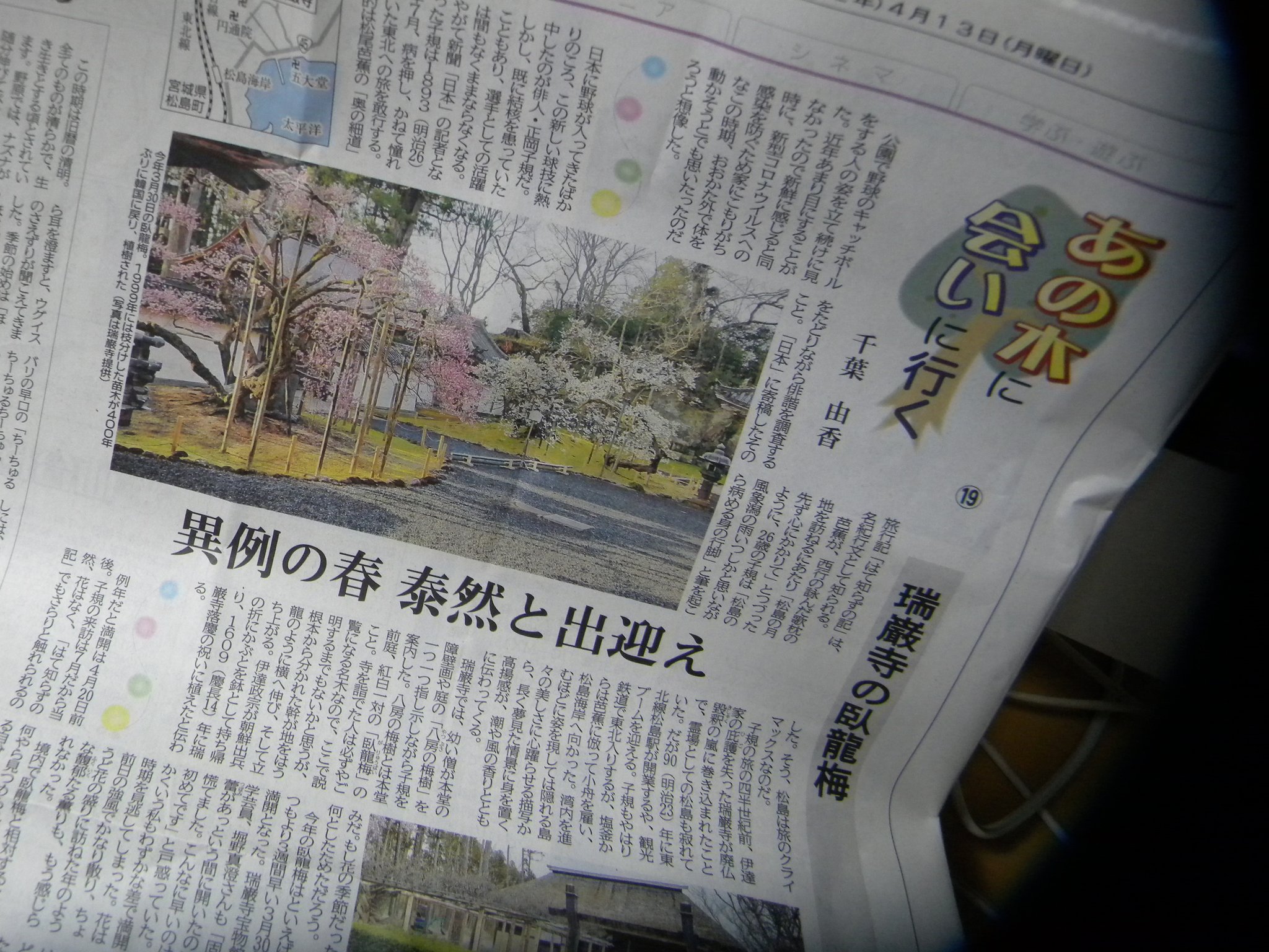 O Xrhsths あらえみし Sto Twitter 本日の河北新報夕刊に 荒蝦夷 千葉由香の連載 あの木に会いに行く 掲載です 第19回は 異例の春 泰然と出迎え として伊達政宗の手植えと伝わる宮城県松島町 瑞巌寺の臥竜梅 の話題です 国宝 瑞巌寺も現在拝観休止中 来年の