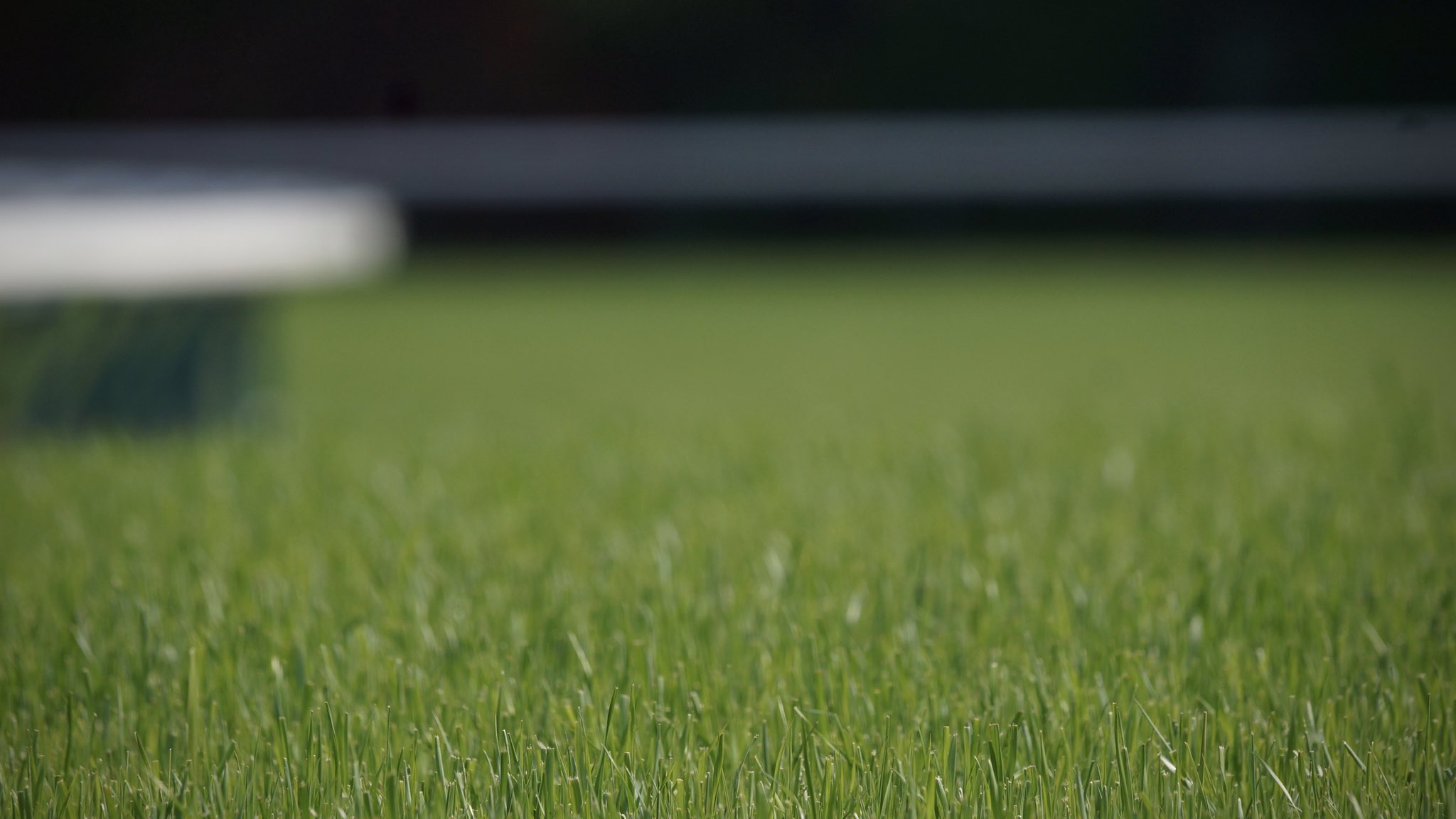 Twitter 上的 め い 最近会議用の壁紙が話題なので 写真フォルダから壁紙に使えそうなのを選抜してみました 淀の美味しそうな第4コーナーの芝 京都競馬場 レイデオロ ラニだぞ アメリカの方やカリフォルニアクロームさんと会議する時に使用すると Twitter 上的 め い 最近会議用の壁紙が話題なので 写真フォルダから壁紙に使えそうなのを選抜してみました 淀の美味しそうな第4コーナーの芝 京都競馬場 レイデオロ ラニだぞ アメリカの方やカリフォルニアクロームさんと会議する時に使用すると