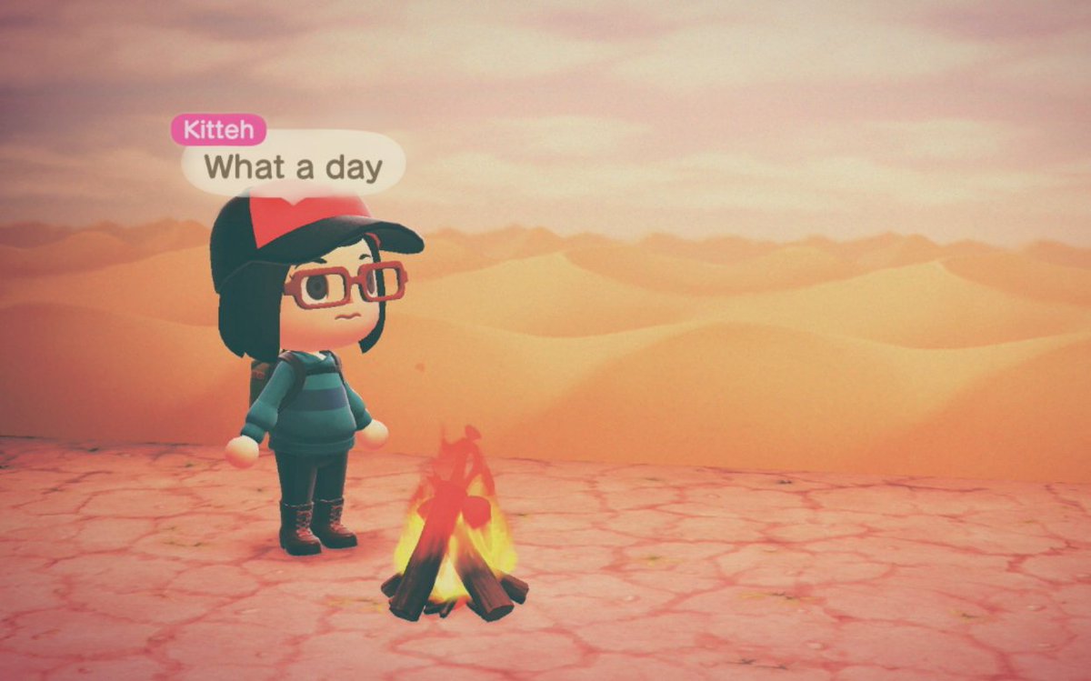 Kitteh 🌿 tweet media