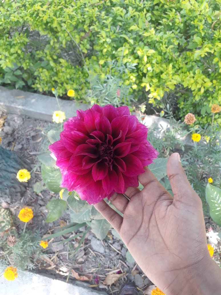 Aneesaadeez's tweet image. #Lets_guide

@localguides 
@googlemaps