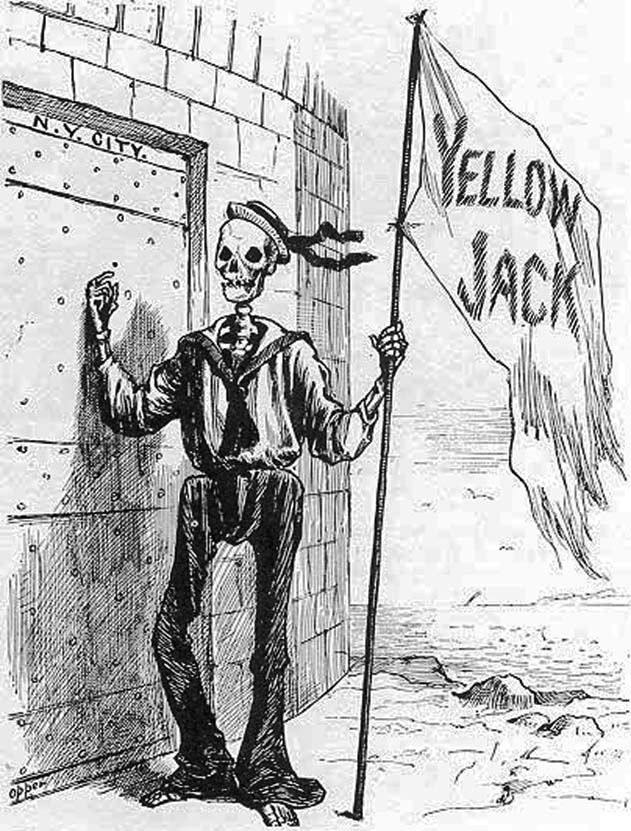 Yellow fever became a regular visitor in ports from Suriname to the Chesapeake, striking from Buenos Aires all the way to Boston. The flags of quarantined ships off the American coast—and in the Mediterranean, + even Swansea!—gave the disease its other nickname, yellow jack (8/n)