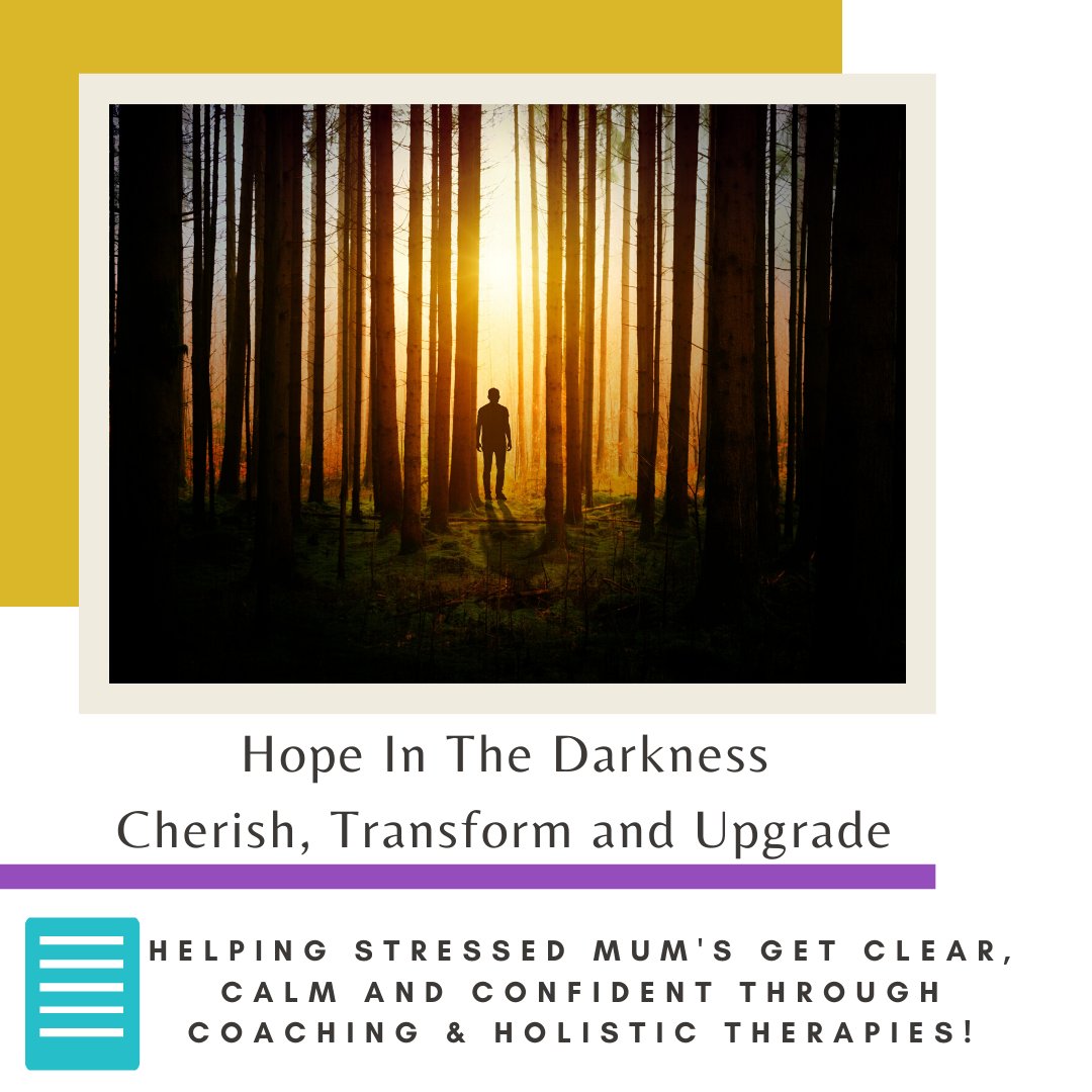 Jane Scanlan tweet media