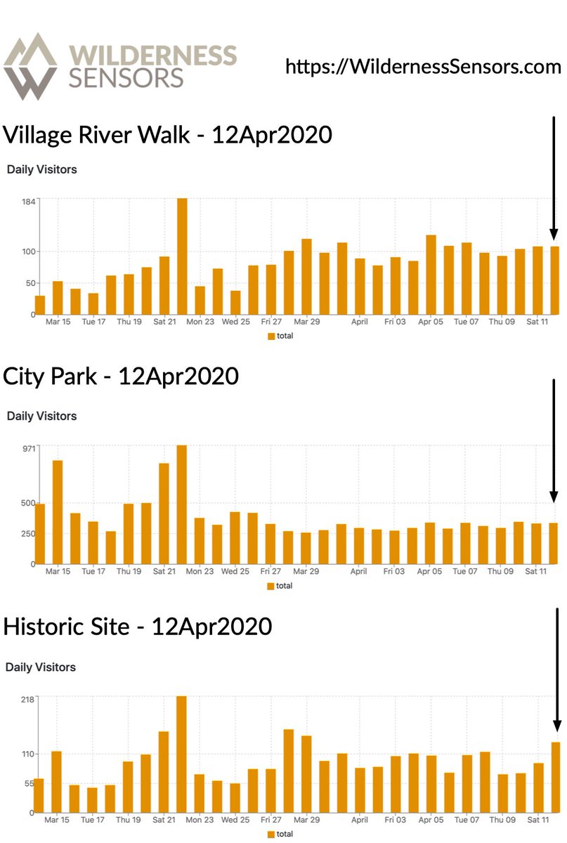 Wilderness Insights tweet media