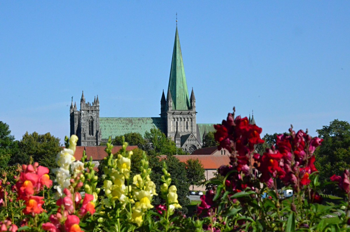 sverigecz's tweet photo. Krásné poledne přátelé severu a ... zvláště 😉 Schválně, kdo to správně podle fotografie doplní? 😉🤔 Malá nápověda: Jedná se o konec jedné moooc krásné cesty 😉 https://t.co/M8sfksFGBK