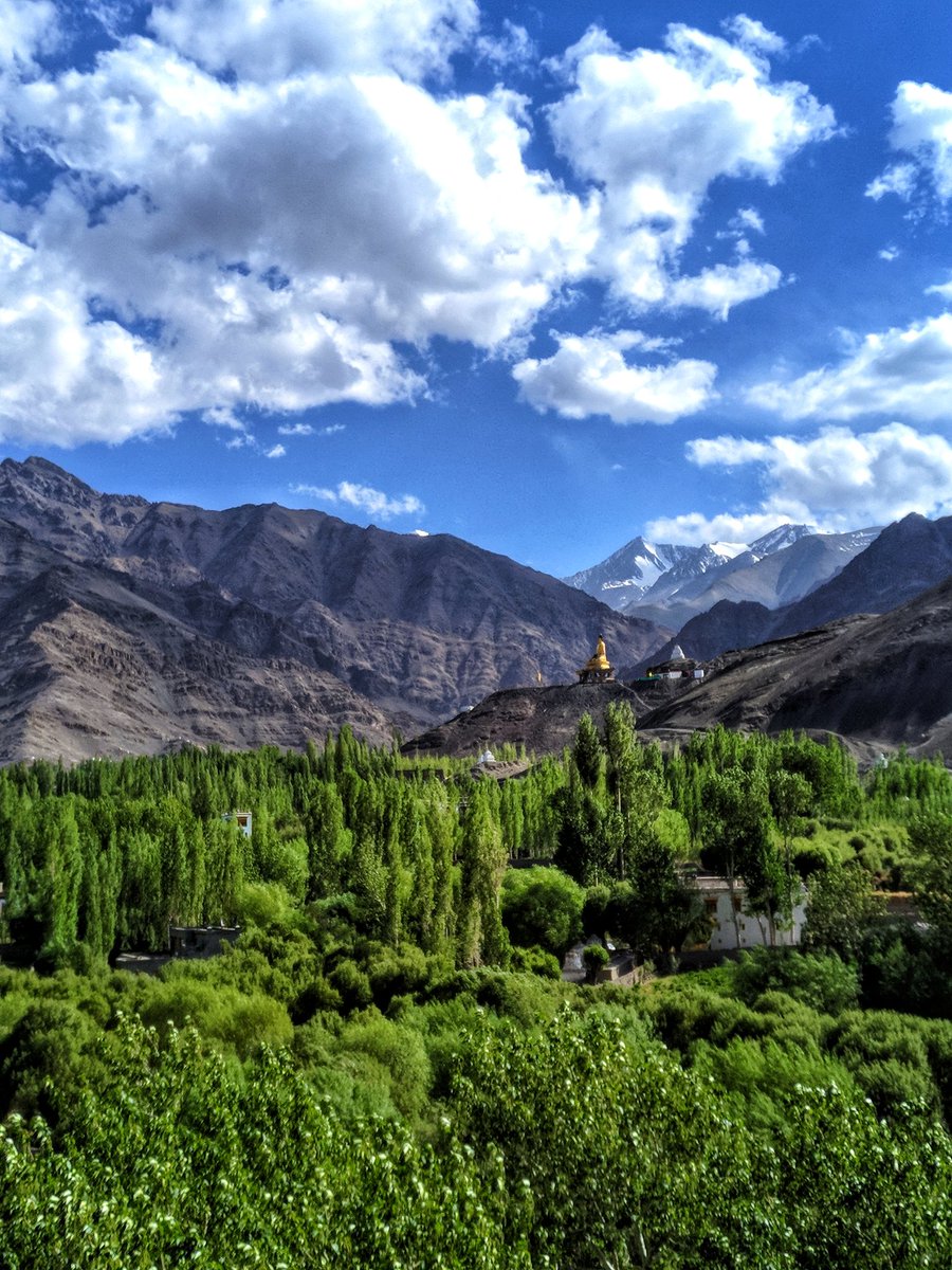 Stok, Leh