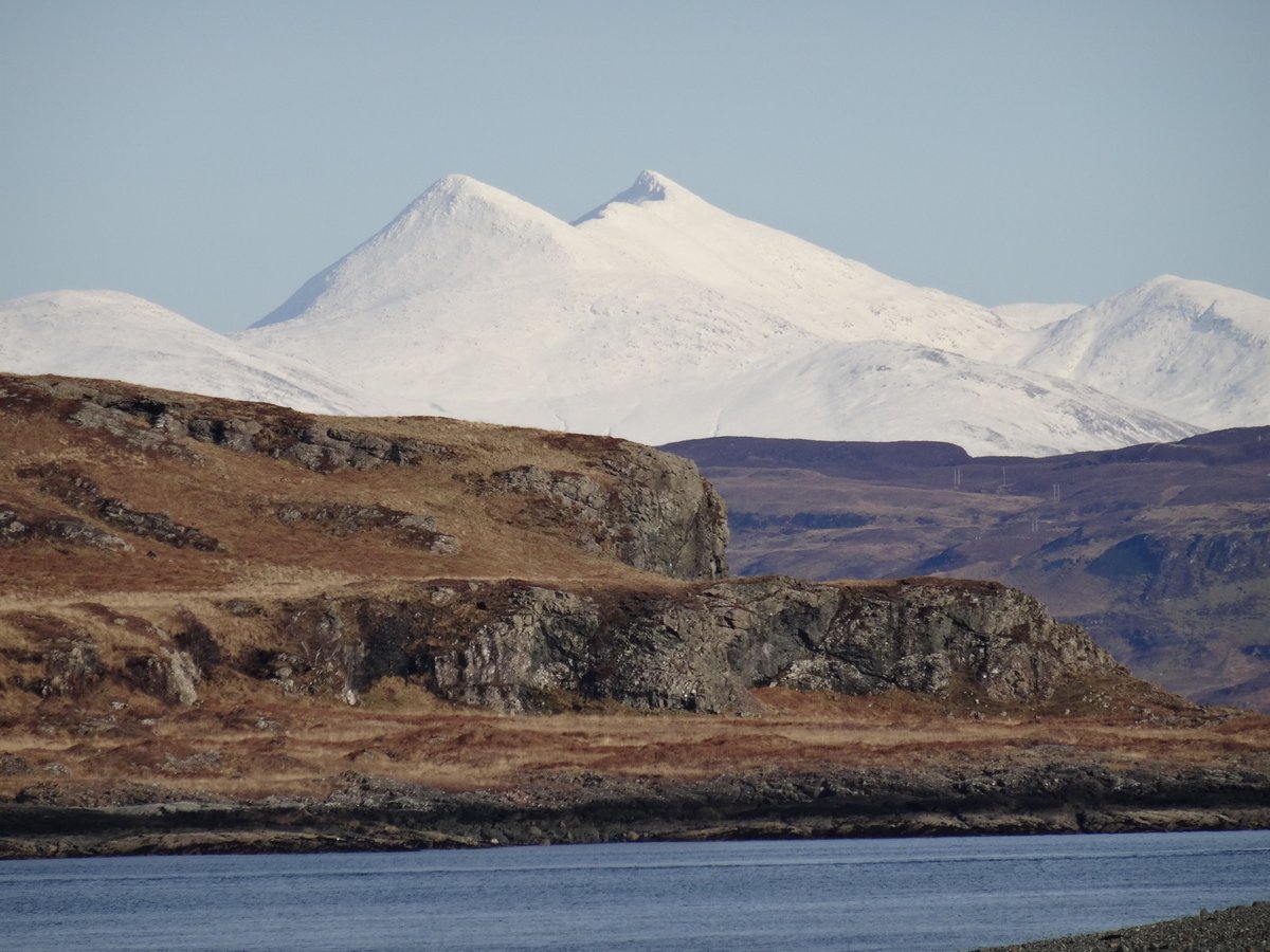 Northern Light tweet media
