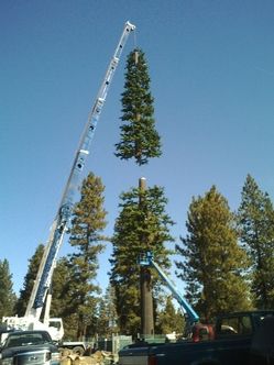 Here a couple more...  #5G