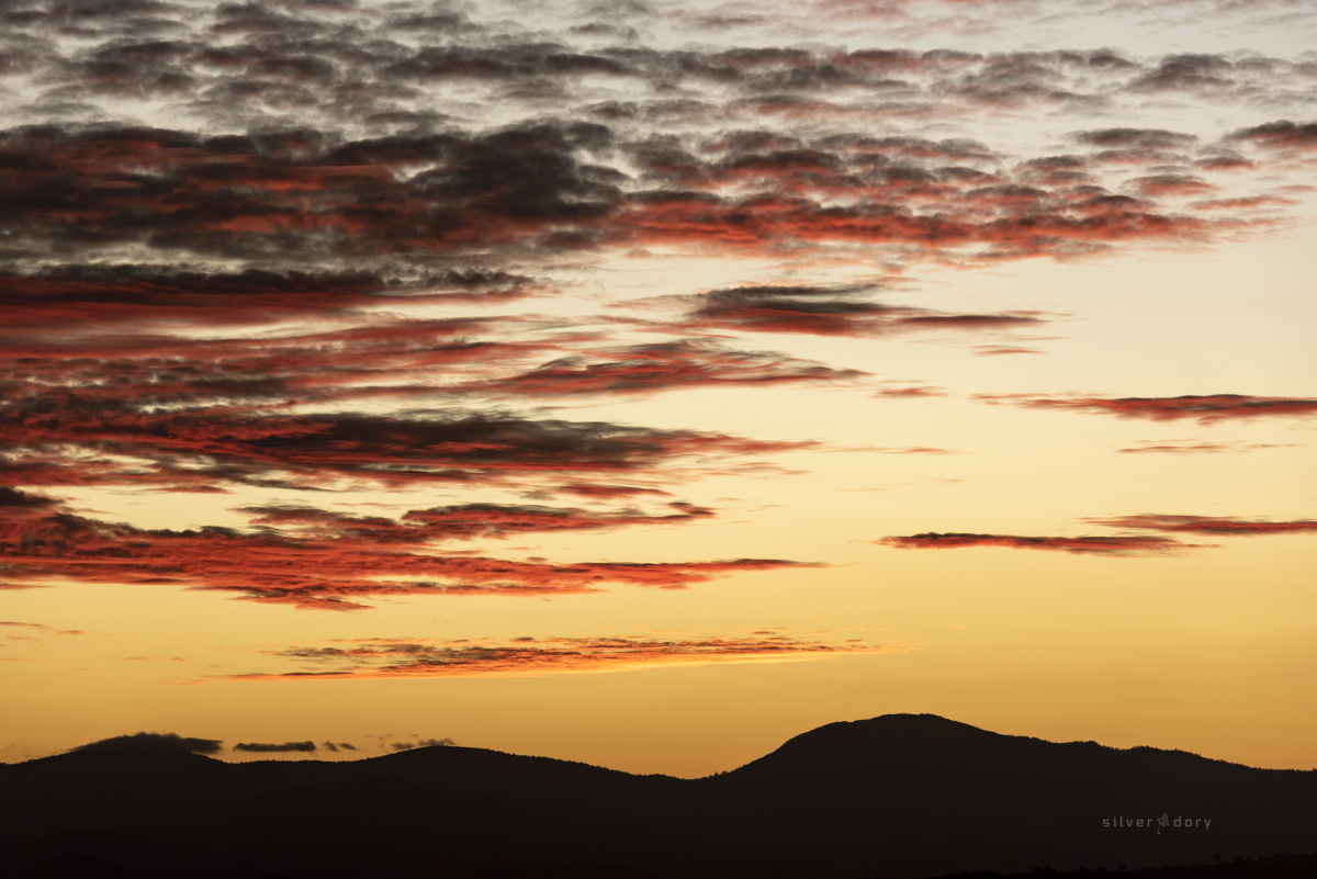thesilverdory's tweet photo. Big colour over the Brindabellas this evening to wrap up the Easter dusk light show in the bush capital (from Scrivener Hill) ... #Canberra #inthefield #sunsetcapital https://t.co/GnXGlw6okU