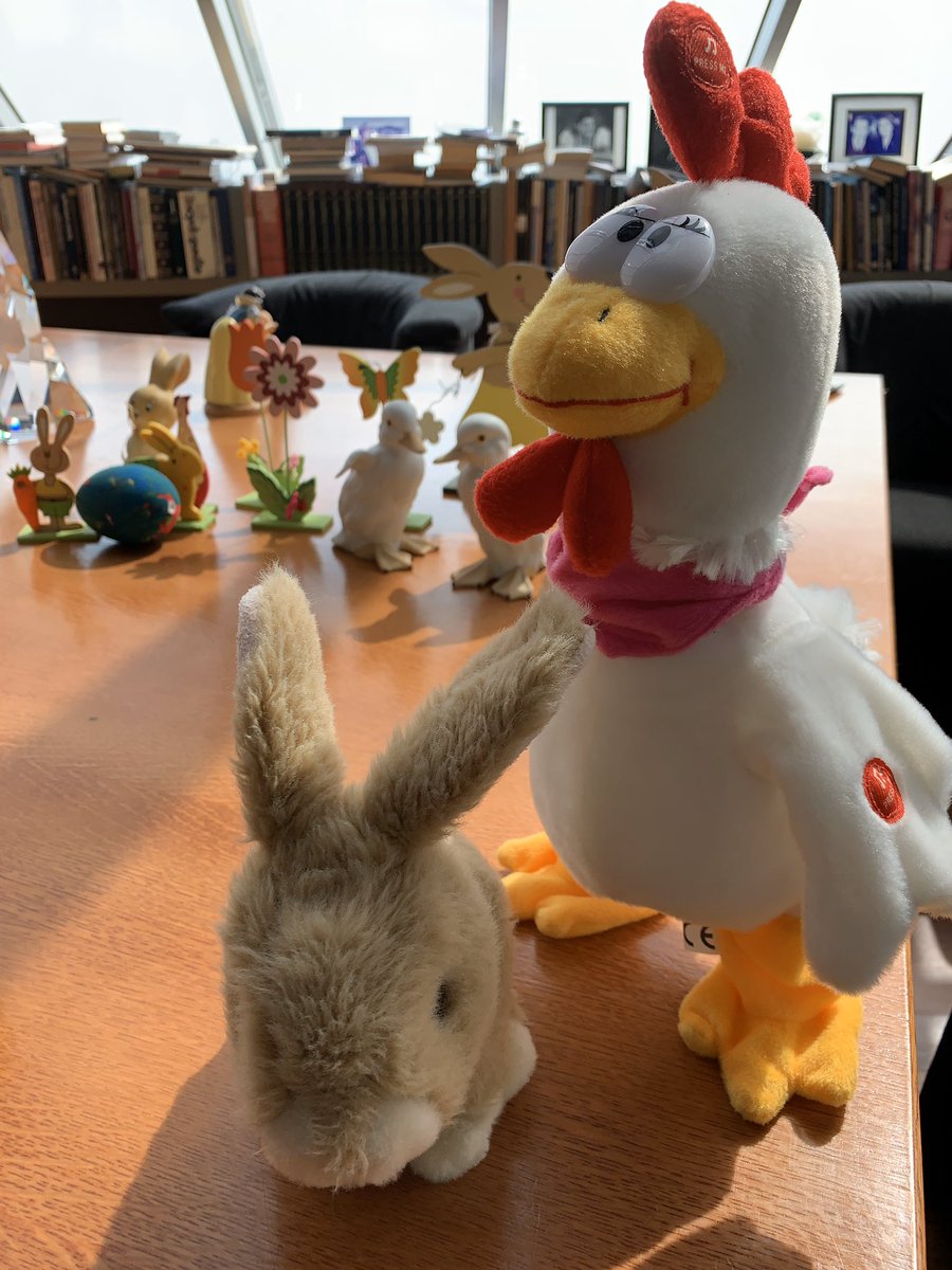 AmbassadorCzako's tweet photo. Day 1/7 #mylifeinpictures. Rules no words, no people. Nominate someone everyday. I was nominated by @CzakoVczako. I nominate @nikolett_blasko https://t.co/kVzCe1DzS4