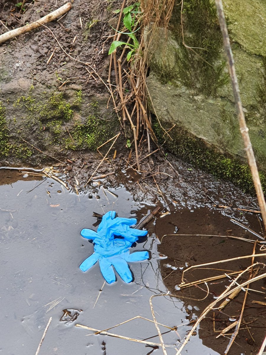StVConservation's tweet photo. @AngusCouncil our village footfall has went up three fold during the lockdown and is being blighted by increasing number's of inconsiderate people with no regard for other people's safety. 
#KeepScotlandBeautiful #CleanUpScotland https://t.co/JZ2ZXlFEKz