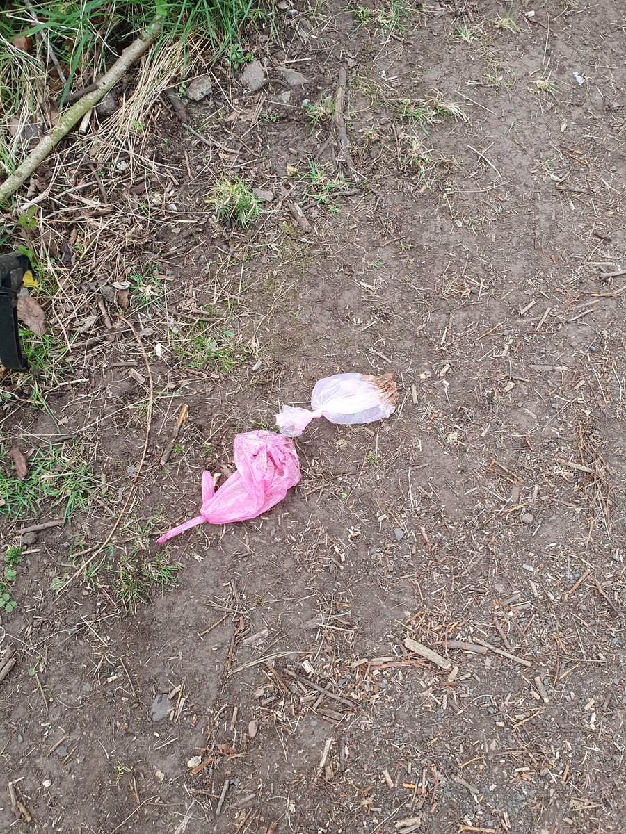 StVConservation's tweet photo. @AngusCouncil our village footfall has went up three fold during the lockdown and is being blighted by increasing number's of inconsiderate people with no regard for other people's safety. 
#KeepScotlandBeautiful #CleanUpScotland https://t.co/JZ2ZXlFEKz