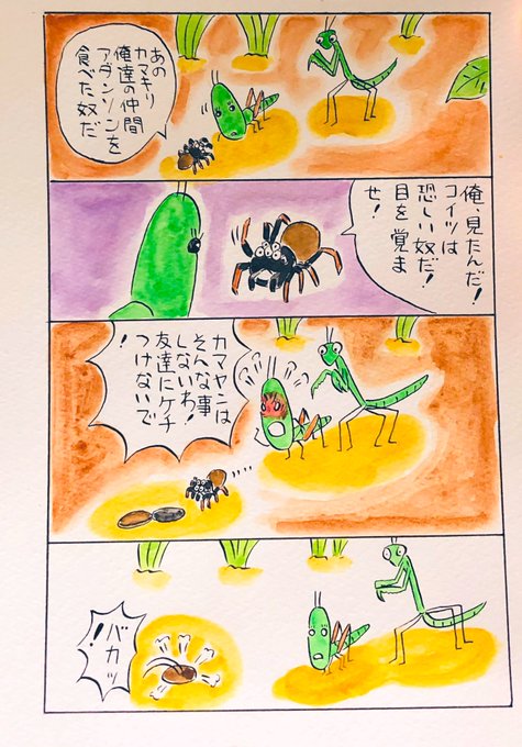 アダンソンハエトリグモ を含むマンガ一覧 ツイコミ 仮