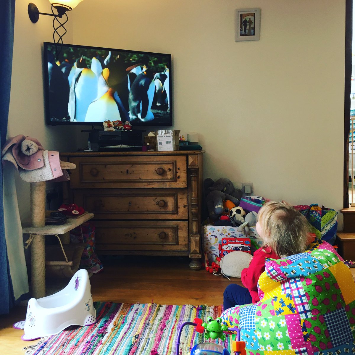 Danielle_Newby's tweet image. Never too young to watch @davidattenburro 😀🥰 #Dorothy #lovesnature #pengiuns #bankholiday