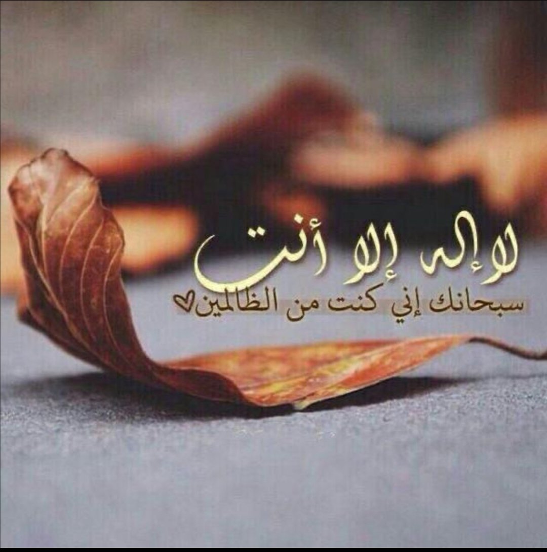 °°Ⱥ~ƁƋʊ77°°~ tweet media