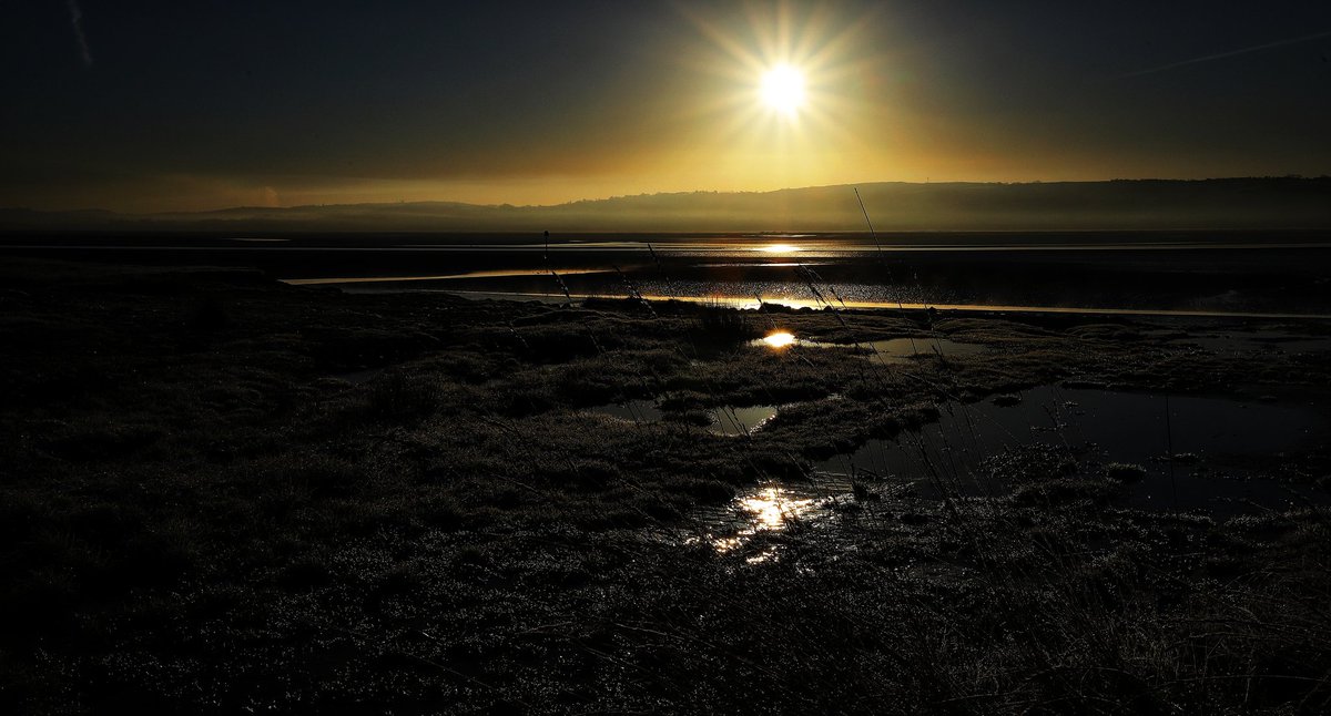 My Valley and Beyond tweet media