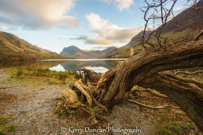 Kerry Duncan Photogr tweet media
