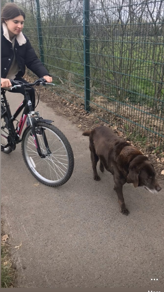 juric_sarah's tweet photo. Very sad that in the current situation people would break into someone’s garage and steal my girls bikes and husbands tools...you really should feel guilty you bleeps! The make of bikes : Ammaco black and pink x2 @westbridgfdwire #twobikes #stolen https://t.co/9lOpKb8Hoy