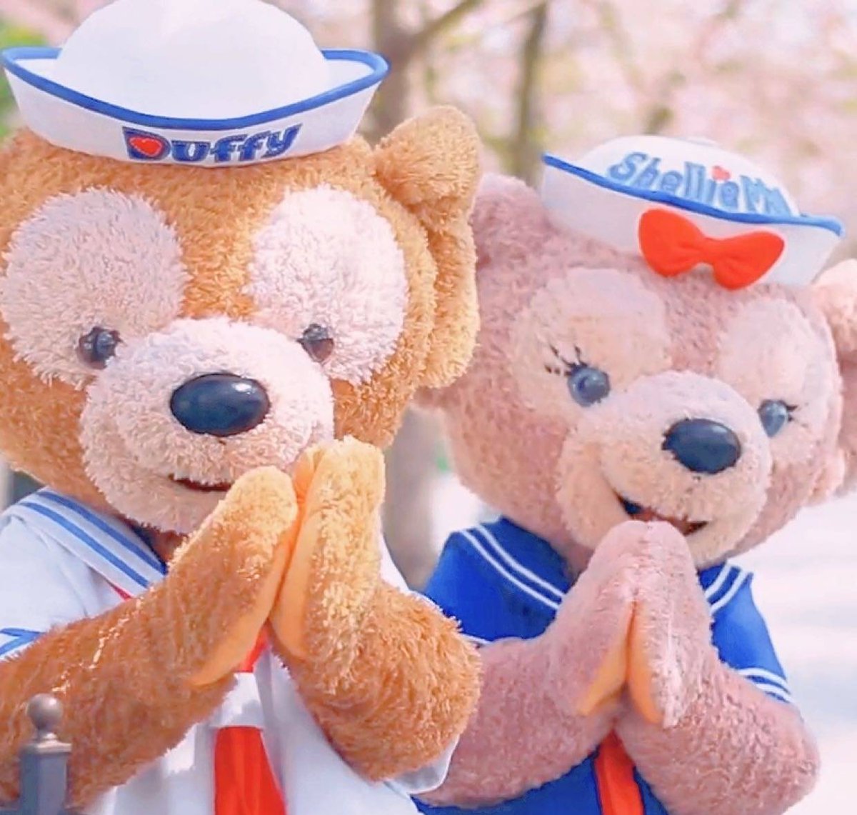 Tomoko 上海ディズニーランド 公式weiboより ダッフィー シェリーメイ ダッフィー シェリーメイ 桜 上海ディズニー Shdl