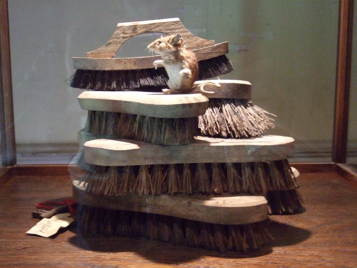 Robson and Cowan tweet media