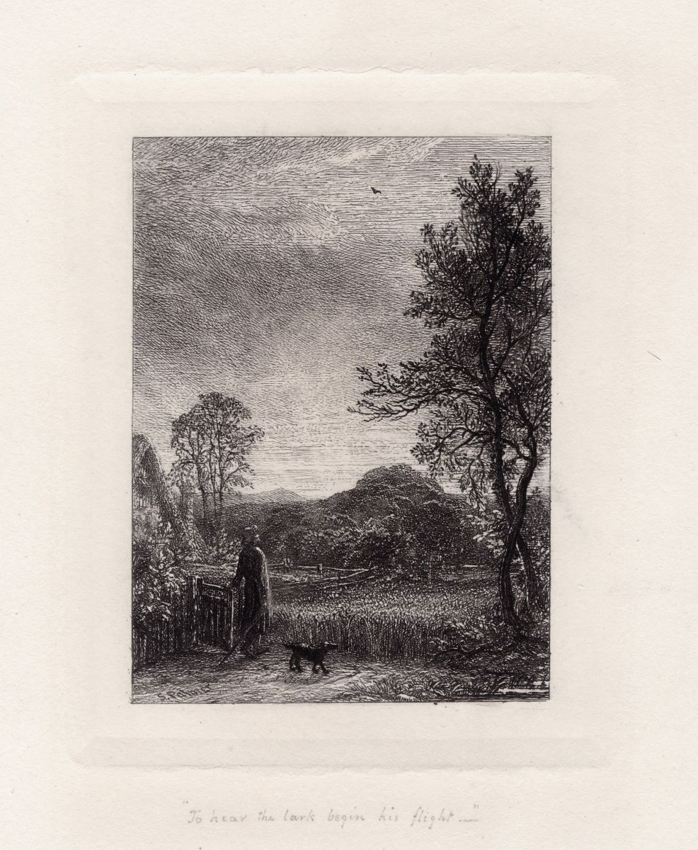 GerrishFineArt's tweet photo. Art Treasures: Samuel Palmer (1805-1881), 'The Skylark', Etching, 1850 - https://t.co/gwHuZ2An92 https://t.co/MchobHPtKS