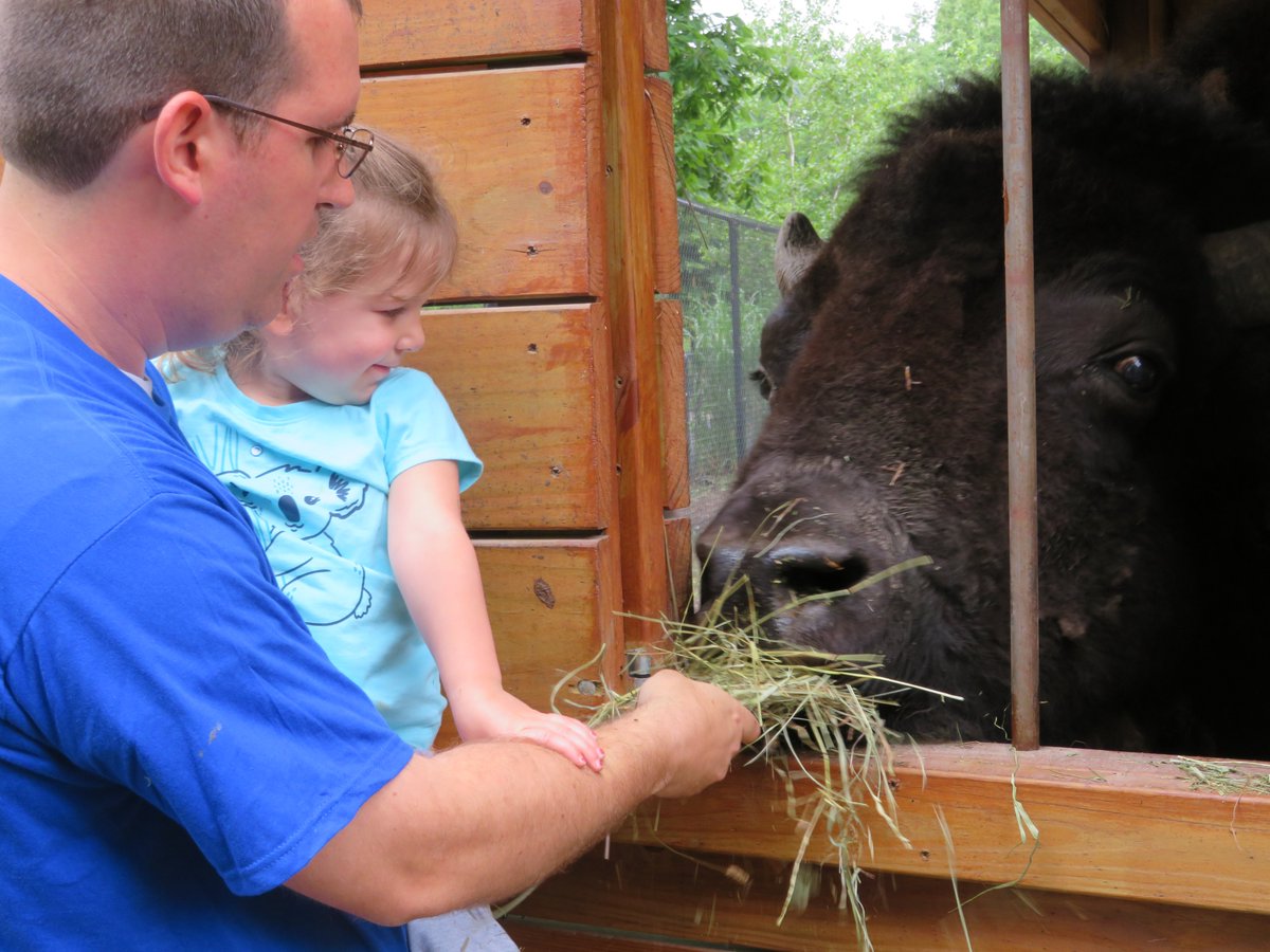 This week's podcast episode highlights multiple zoos AND multiple animals as we talk about our favorite animal encounters. Zoos featured include <a href="/ColumbianPrkZoo/">Columbian Park Zoo</a> <a href="/ChehawPark/">Chehaw</a> <a href="/brookfield_zoo/">Brookfield Zoo Chicago</a> <a href="/MilwaukeeCoZoo/">Milwaukee County Zoo</a> <a href="/PotawatomiZoo/">Potawatomi Zoo</a>  <a href="/NEWZOOGB/">NEW Zoo & Adventure Park</a> <a href="/blankparkzoo/">Blank Park Zoo</a> 
anchor.fm/zoo-with-us/ep…