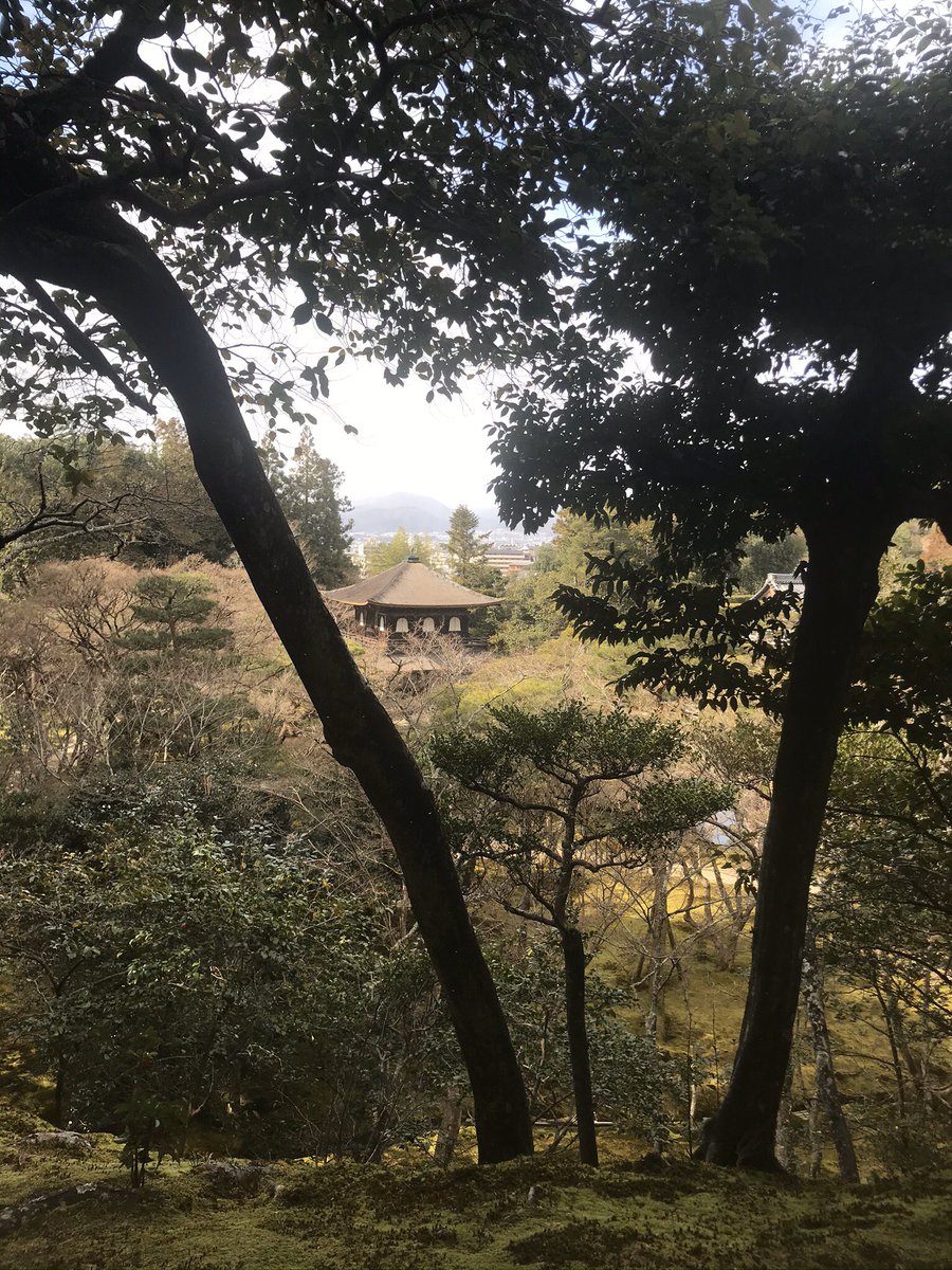 Kyoto : pavillon d’argent, pavillon d’or, une ville bien plus petite et calme que Tokyo mais qui respire l’histoire et l’importance culturelle