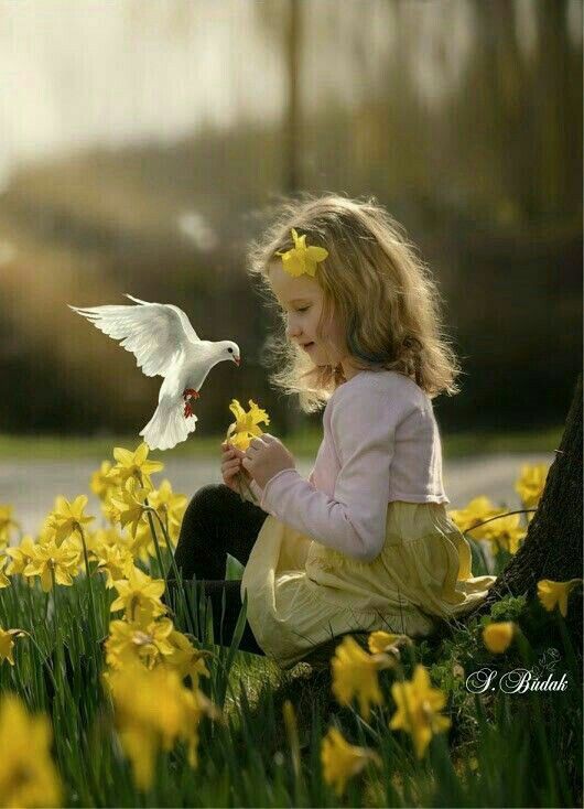 marilsatinello's tweet photo. 🍃🍃🌾🍃Bom dia meus amigos queridos!🍃🌾🍃🍃
🍃🍃🌾🍃Que sejamos capazes de enxergar algo de bom em cada momento ruim que nos acontecer.🍃🌾🍃🍃
🍃🍃🌾🍃Uma semana cheia de boas surpresas para todos!���🌾🍃🍃 https://t.co/x1T881esNg