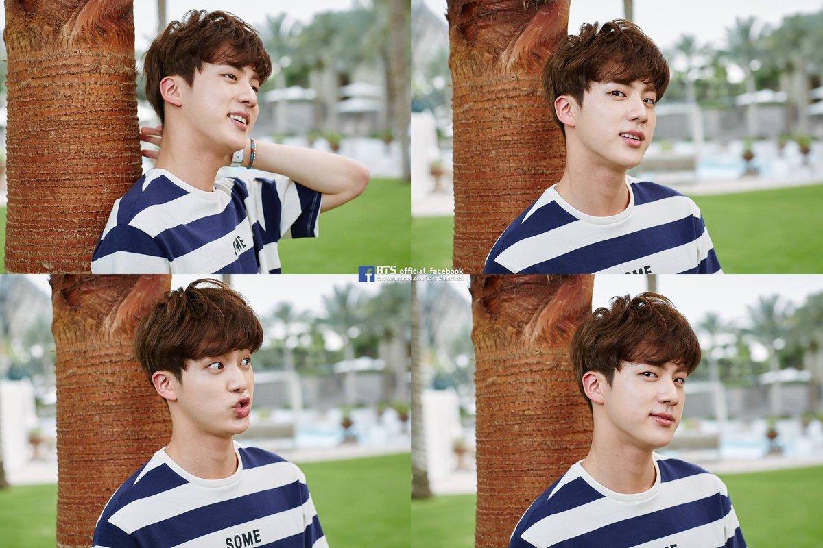 this cutie in a series of 4 photos   #방탄소년단진   #JIN  @BTS_twt