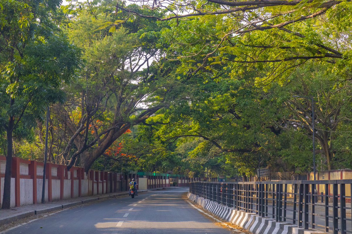 Satvik's tweet photo. Green Bengaluru!! Bengaluru during Lockdown.
#Bangalore #BengaluruLockdown #StayHomeIndia #indiastreets #bengaluru @WeAreBangalore https://t.co/SinkzJnTeD