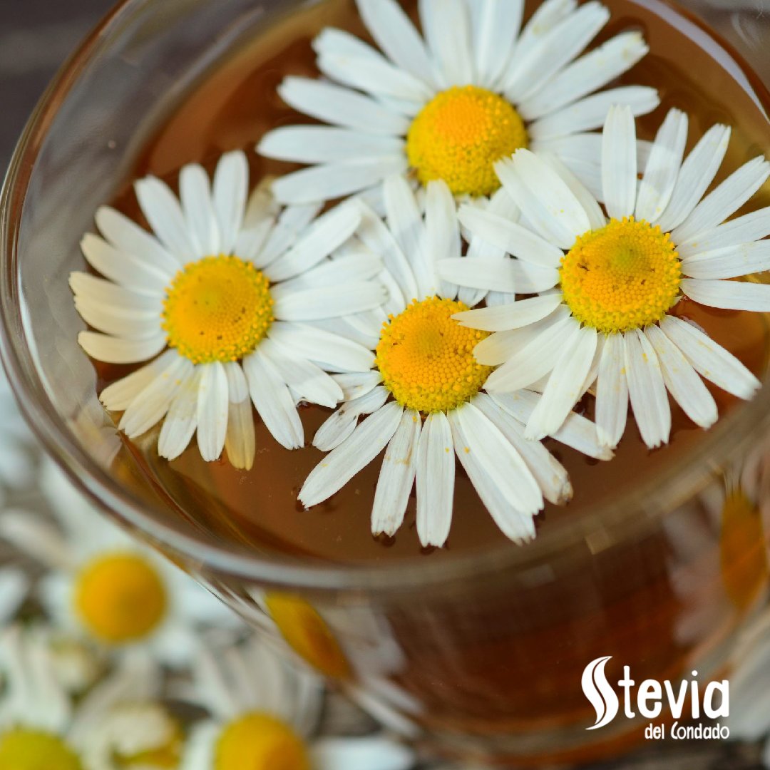 SteviaCondado's tweet photo. Para ayudar a nuestra #digestión con los excesos del #confinamiento, prueba nuestra infusión de flor de #manzanillaBIO🌱Te ayudará a sentirte más ligero/a, y a disminuir el #colesterol☕ #Stevia #natural https://t.co/KOWNWm4BlJ