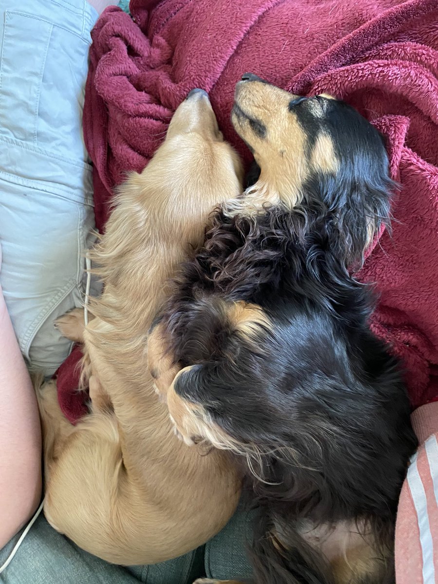 These two 💕